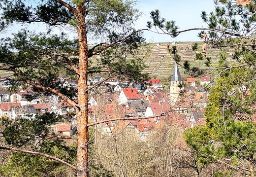 23-03-17 11-05-07 4885